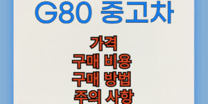 제네시스 G80 중고차 구매 비용