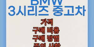 BMW 3시리즈 중고차 구매 비용