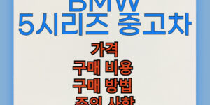 BMW 5시리즈 중고차 구매 비용