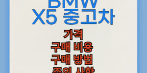 BMW X5 중고차 구매 비용