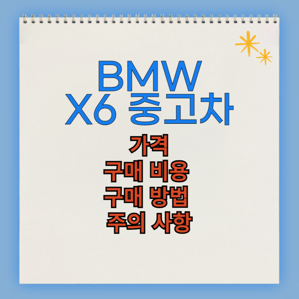 BMW X6 중고차 구매 비용