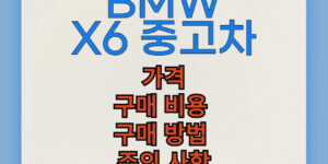 BMW X6 중고차 구매 비용