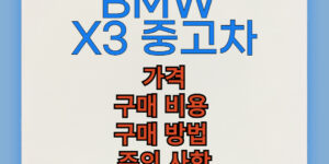 BMW X3 중고차 구매 비용